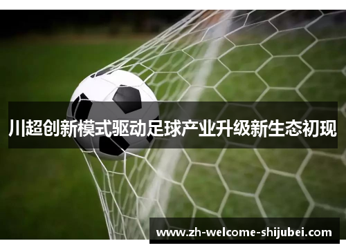 川超创新模式驱动足球产业升级新生态初现 川超创新模式驱动足球产业升级新生态初现