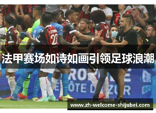 法甲赛场如诗如画引领足球浪潮 法甲赛场如诗如画引领足球浪潮
